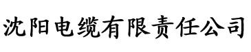 新光棍影院电缆厂logo